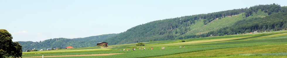 Fahrradfahrerweg im Weserbergland ganz in der Nähe vom Ferienhaus Käthe