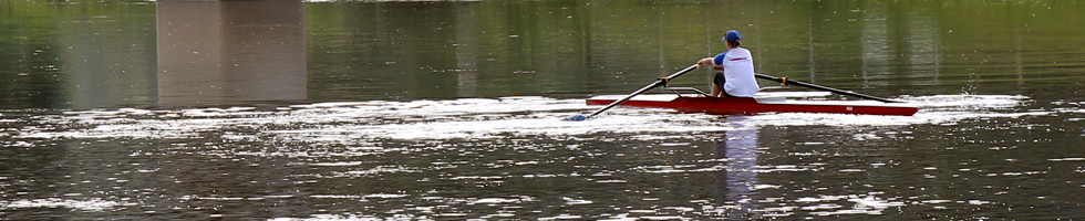 Ruderer auf der Weser in Bodenwerder